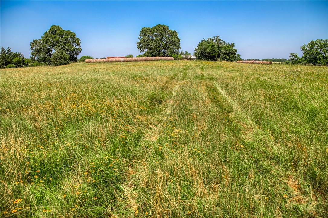 Lexington, TX 78947,3335 County Road 323