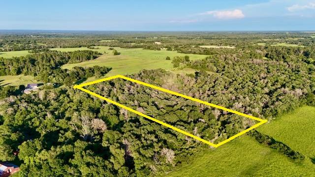 Franklin, TX 77856,TBD Mt Pleasant Rd (+/-5.75 acres)
