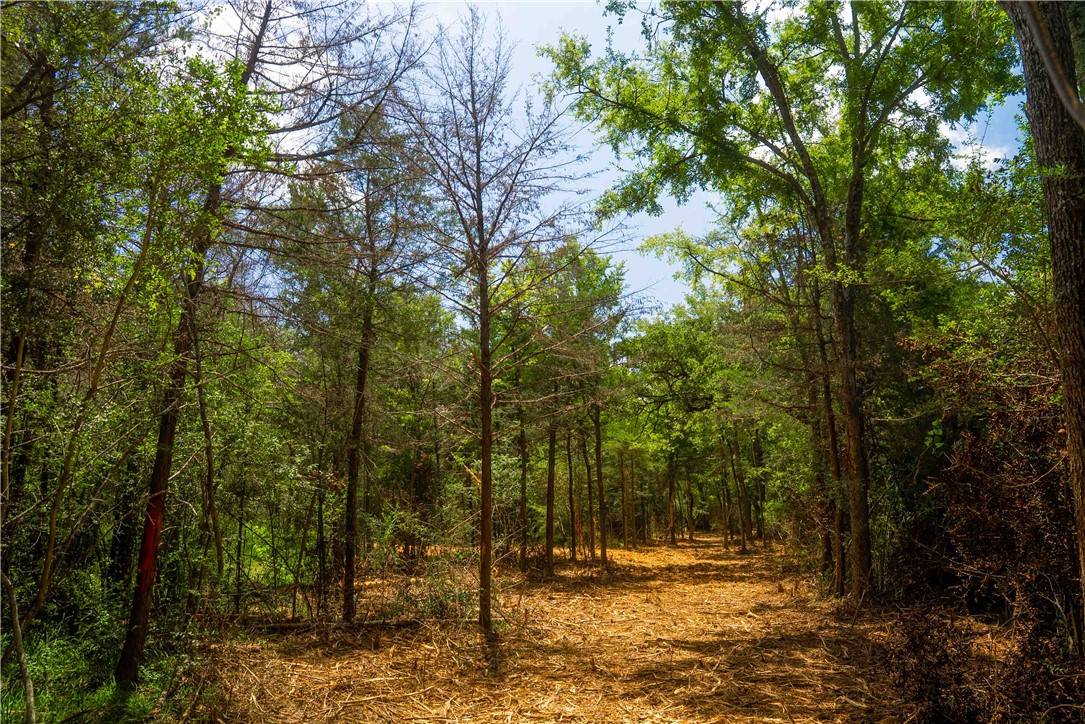 Calvert, TX 77859,TBD Lot 2 Red Hill Road