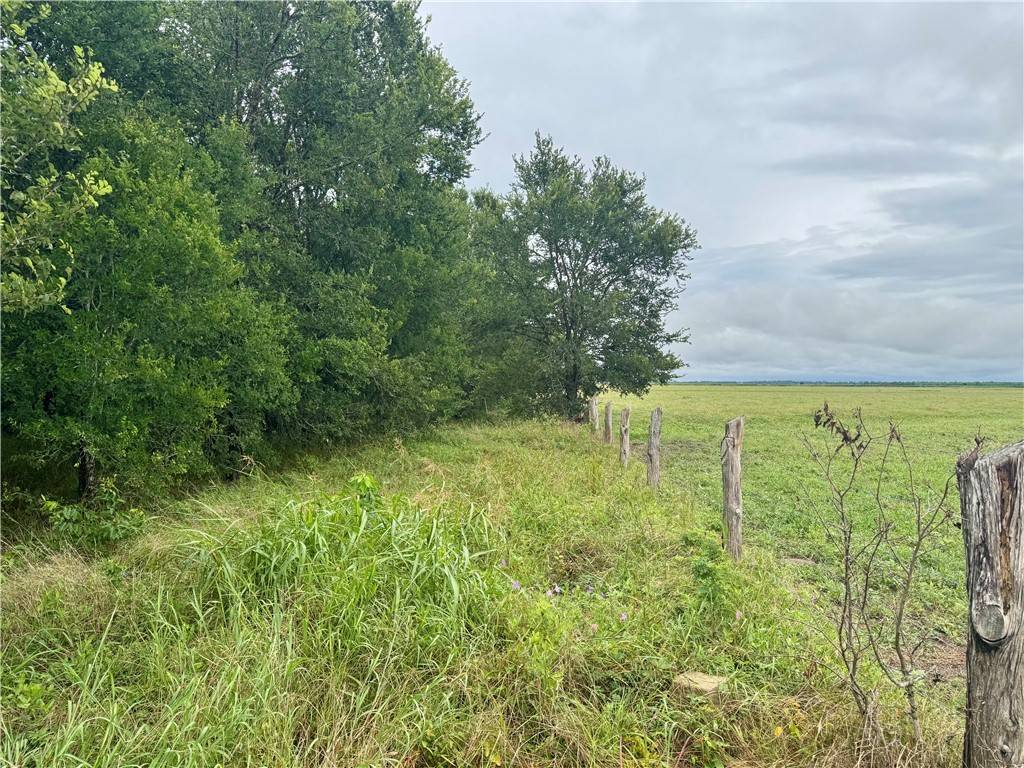 Somerville, TX 77879,16806 County Road 439