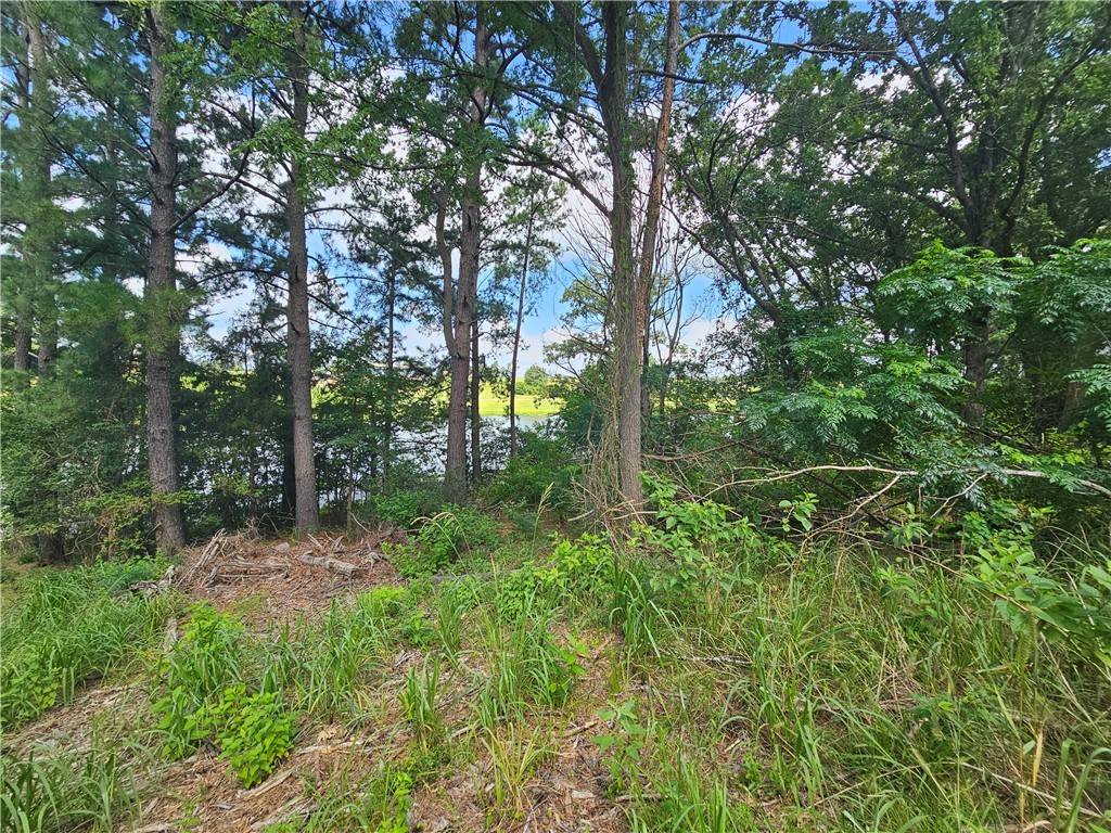 Hilltop Lakes, TX 77871,Lot #1 Block 6 Lakeview DR