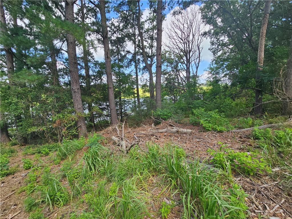 Hilltop Lakes, TX 77871,Lot #1 Block 6 Lakeview DR