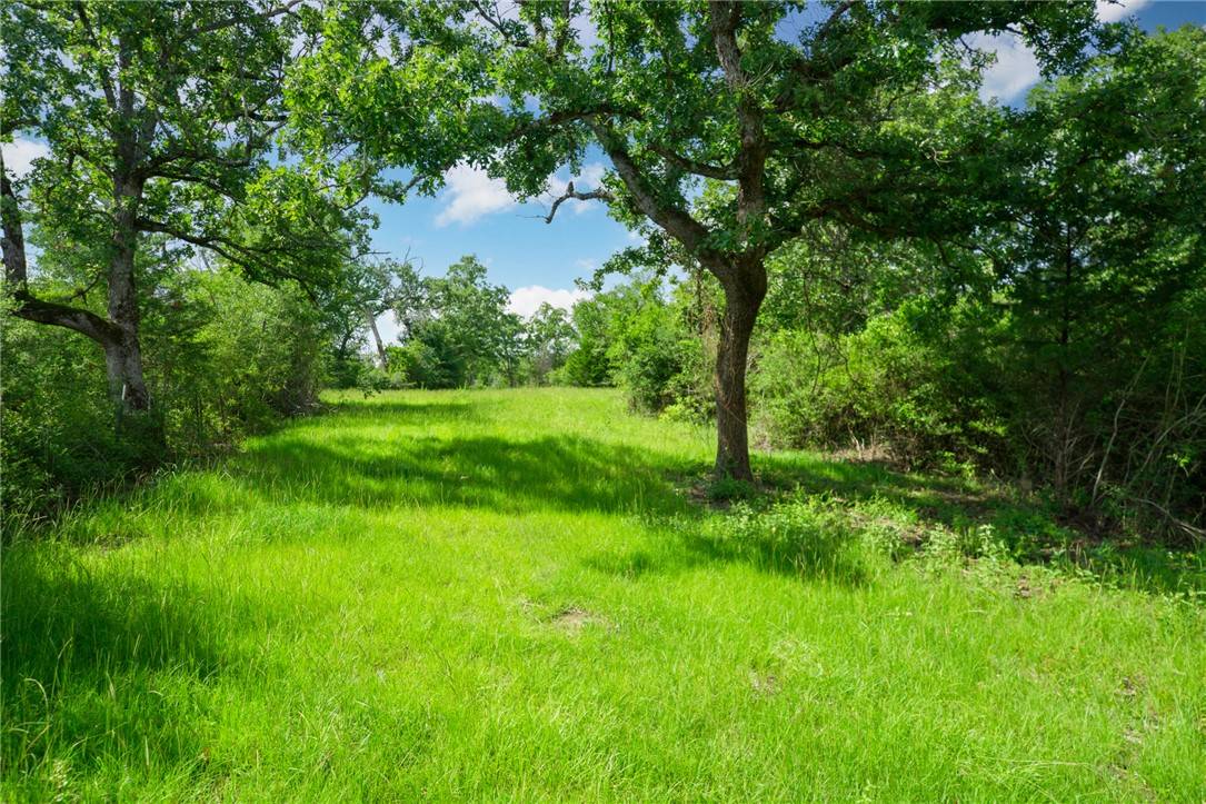 Buffalo, TX 75831,133 ACRES US HWY 79 W