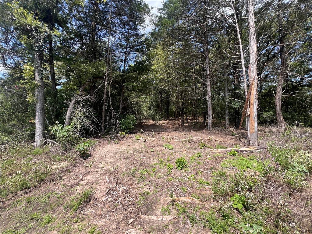 Caldwell, TX 77836,(4.81 Acres) Lot 2 Pauline Lane