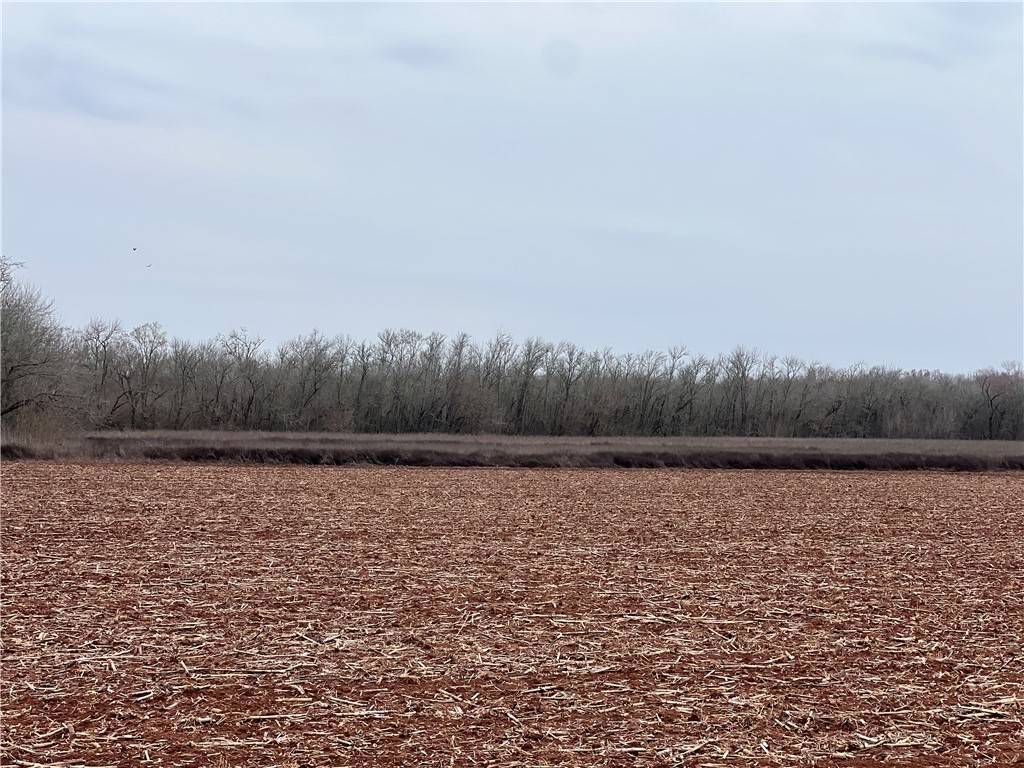 Caldwell, TX 77836,TBD County Road 227