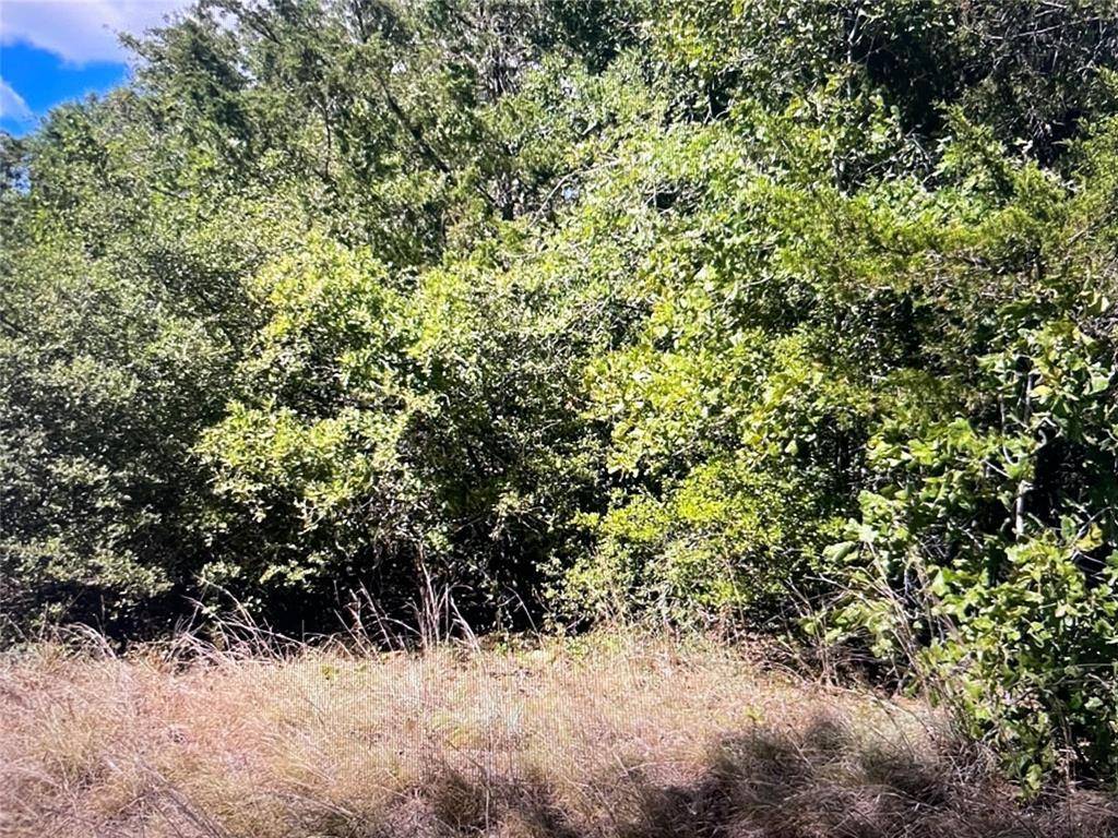 Lexington, TX 78947,TBD County Road 411 RD