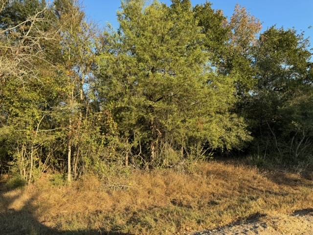 Caldwell, TX 77836,3387 Beaver Creek RD