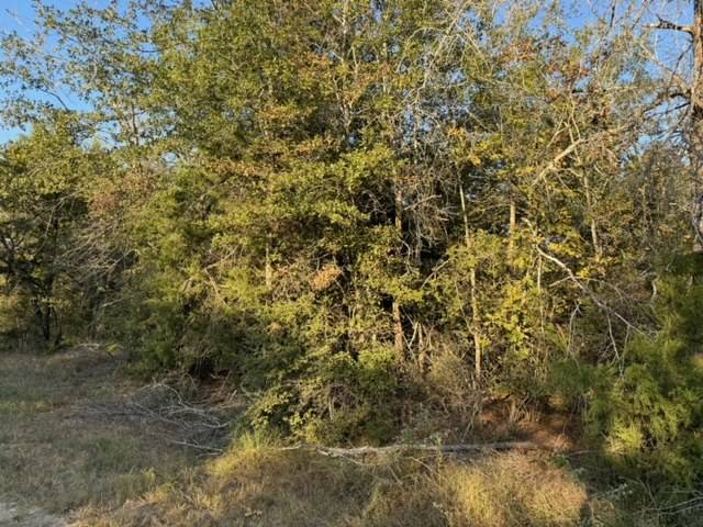 Caldwell, TX 77836,3387 Beaver Creek RD