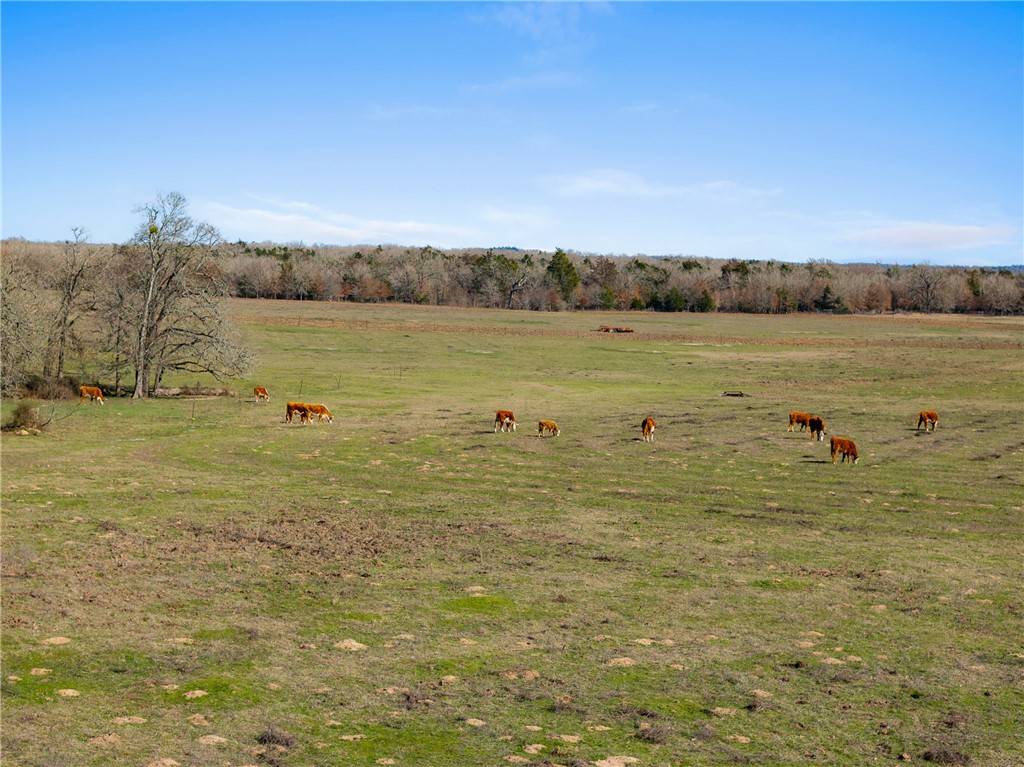 Milano, TX 76556,95 Acres +/- County Road 234