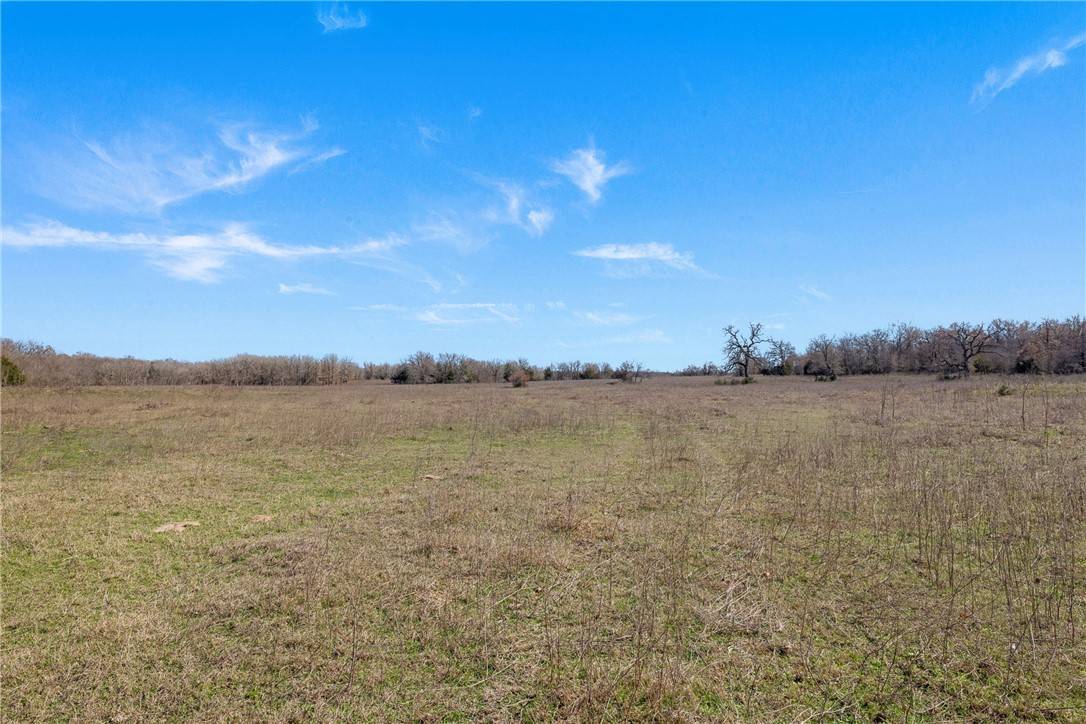 Milano, TX 76556,95 Acres +/- County Road 234