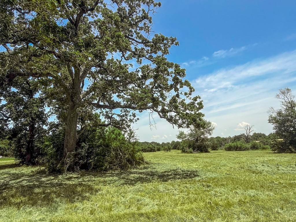 Bedias, TX 77831,19822 Megan ST