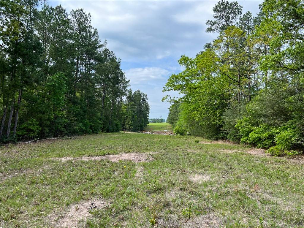 Huntsville, TX 77320,15.86 Acres Round Prairie Rd