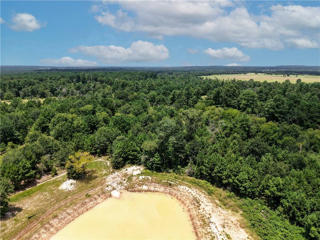 Bedias, TX 77831,3656 Luthe RD