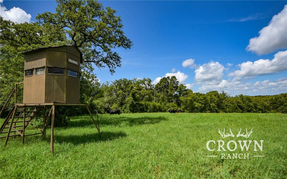 Caldwell, TX 77836,TBD FM 908 (+/-657 acres)