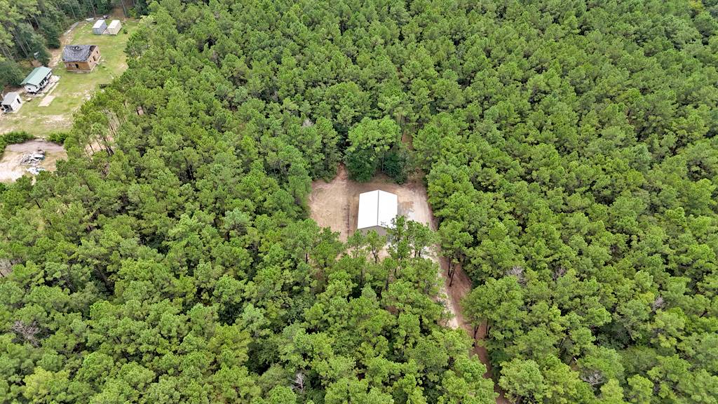Navasota, TX 77868,TBD Deep Forest TRL