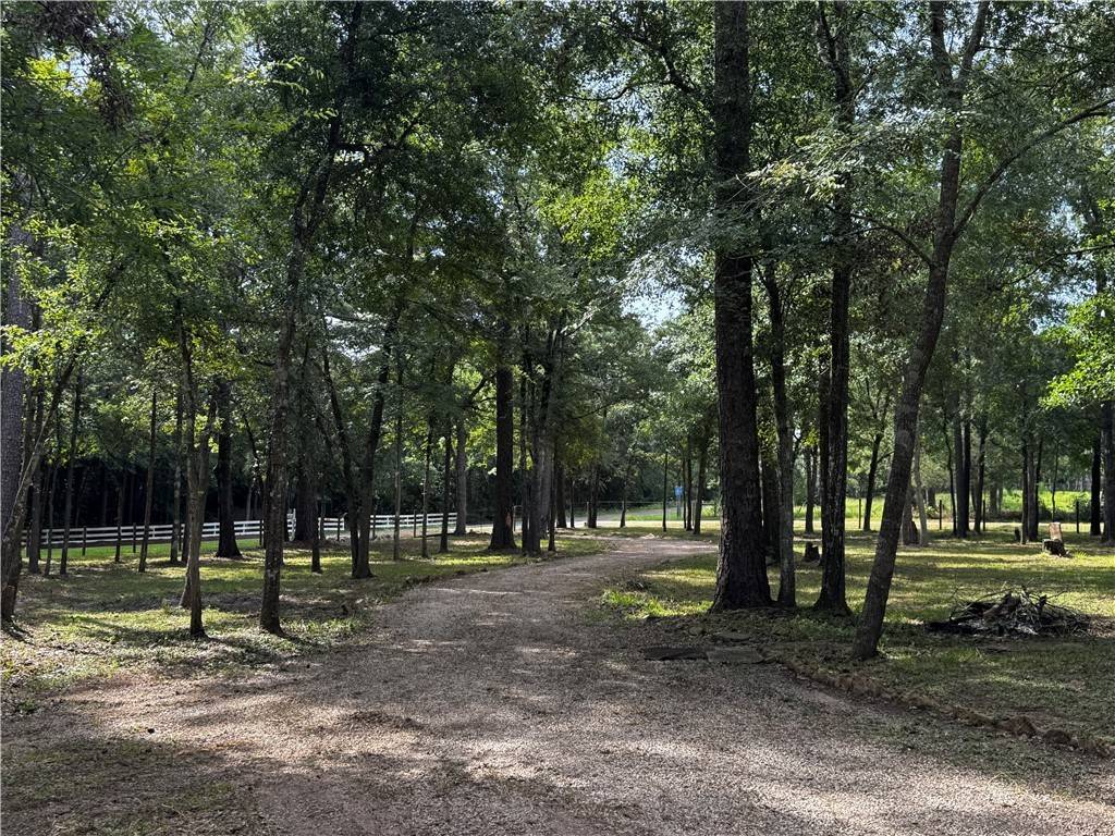 Plantersville, TX 77363,15728 Goldenrain LN