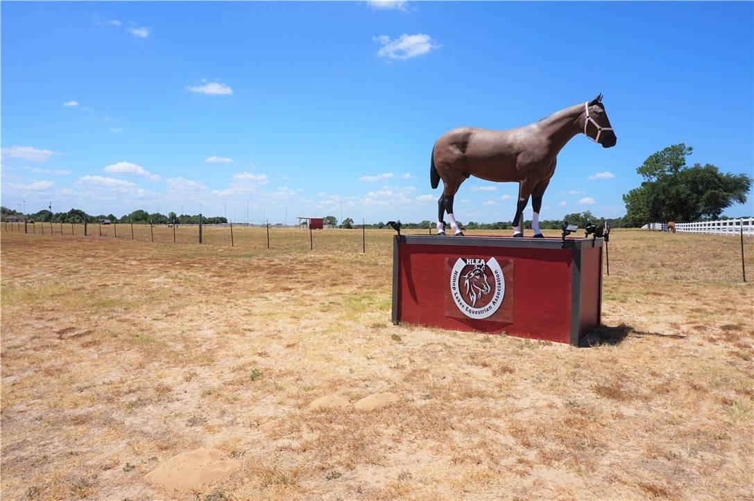 Hilltop Lakes, TX 77871,TBD E Montana Dr