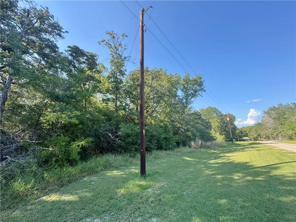 Caldwell, TX 77836,TBD W Pin Oak LN