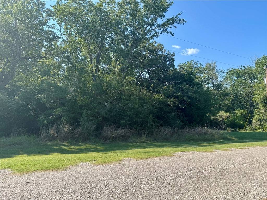 Caldwell, TX 77836,TBD W Pin Oak LN