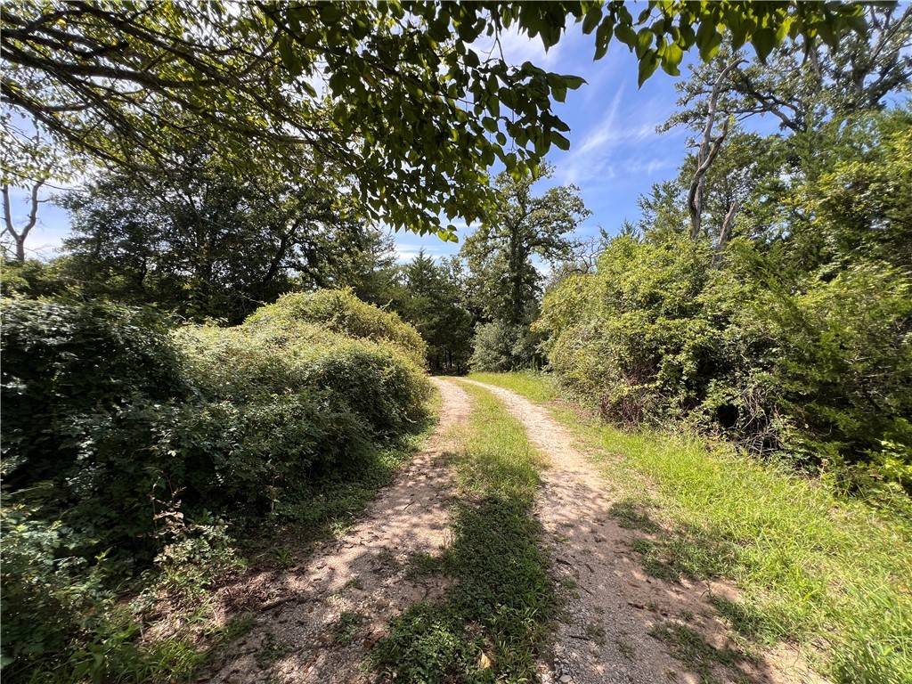 Caldwell, TX 77836,6615 County Road 308