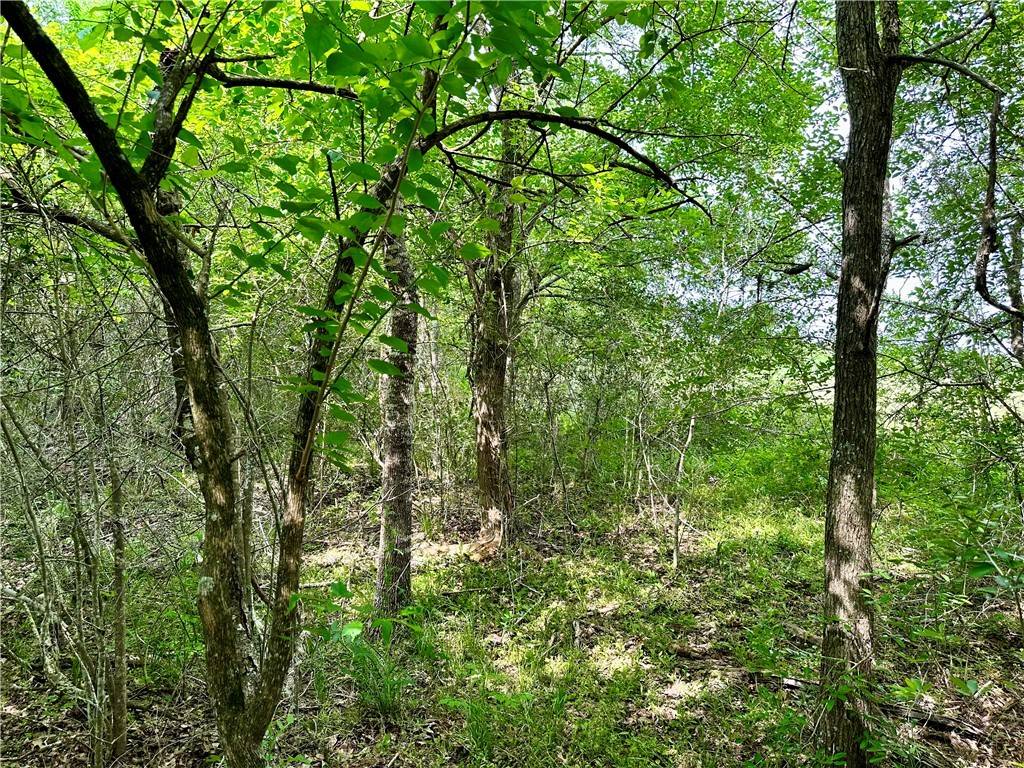 Brenham, TX 77833,00 Quarry RD