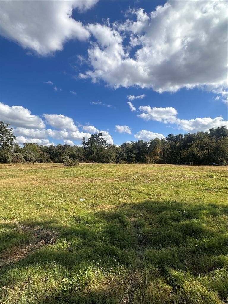 Franklin, TX 77856,253 Dewey Ln