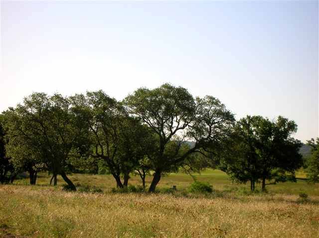 Horseshoe Bay, TX 78657,Lot 187 La Serena LOOP