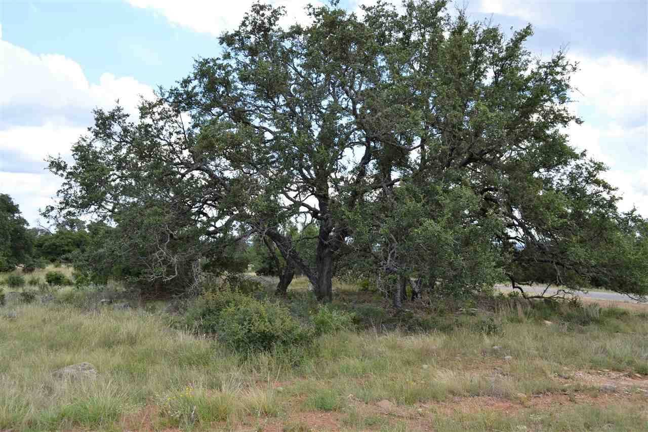 Round Mountain, TX 78663,Lot 20 Comanche Ridge