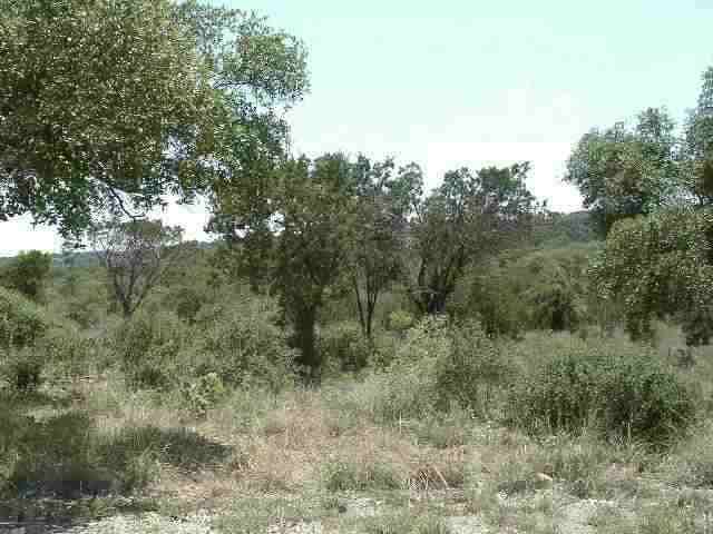 Cottonwood Shores, TX 78657,Lots 33 & 34 Prince Peak