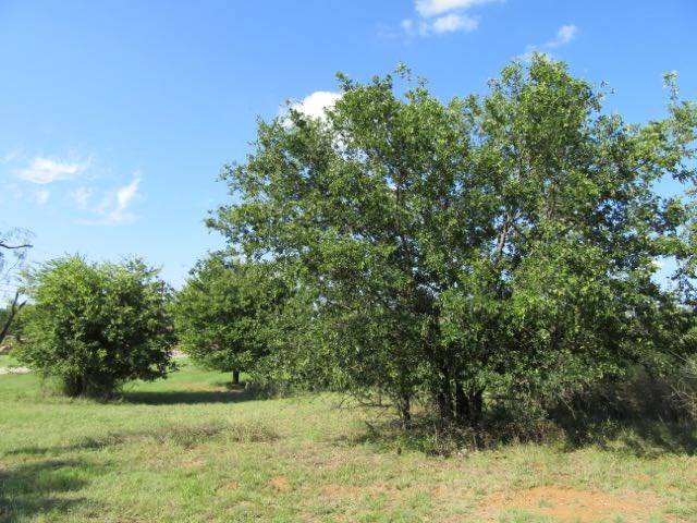 Llano, TX 78643,0000 Ollie ST