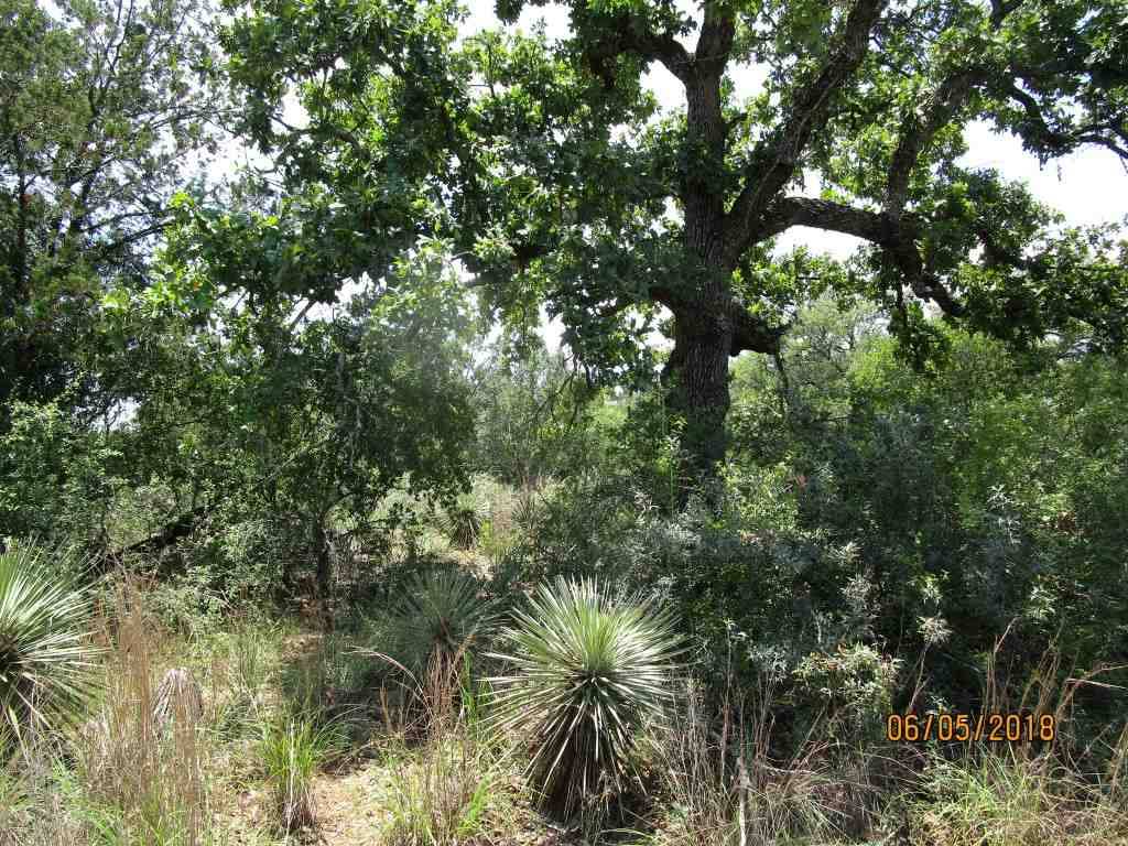 Granite Shoals, TX 78654,Lot 640 W Newcastle