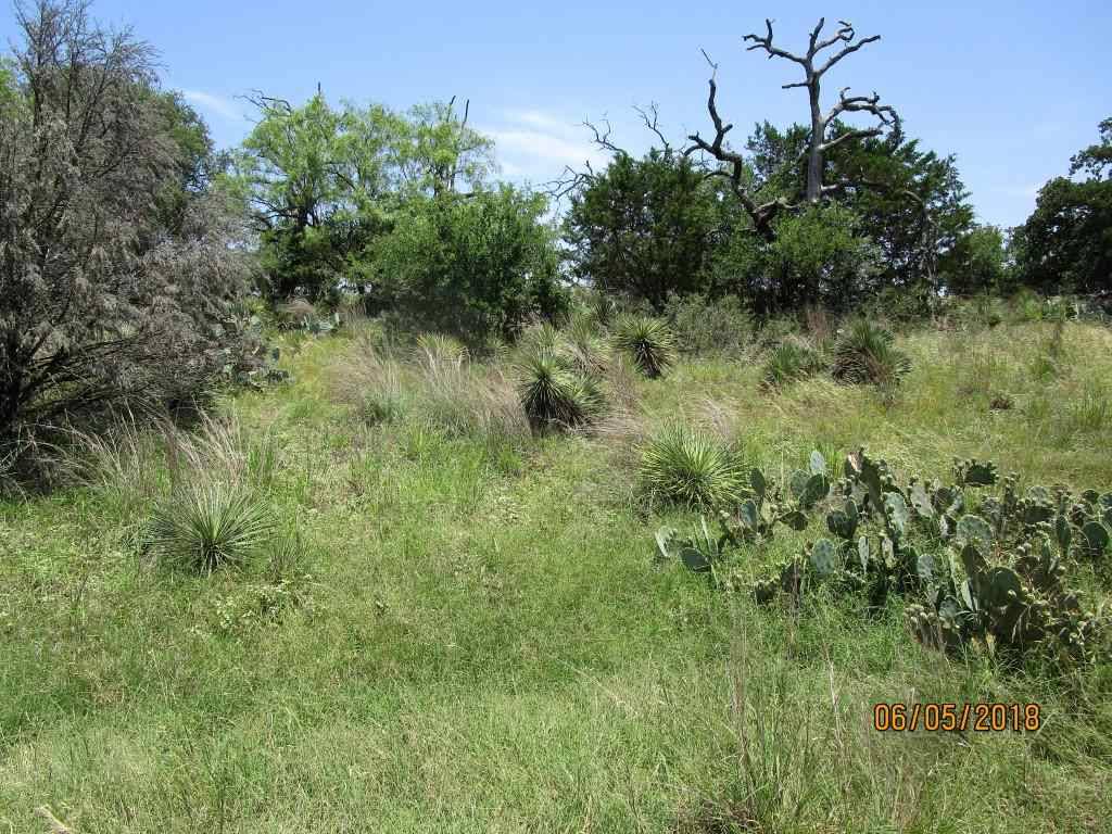 Granite Shoals, TX 78654,Lot 653 W Newcastle DR