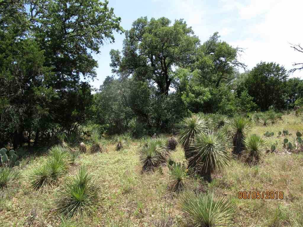 Granite Shoals, TX 78654,lot 712 E Cedarhill DR