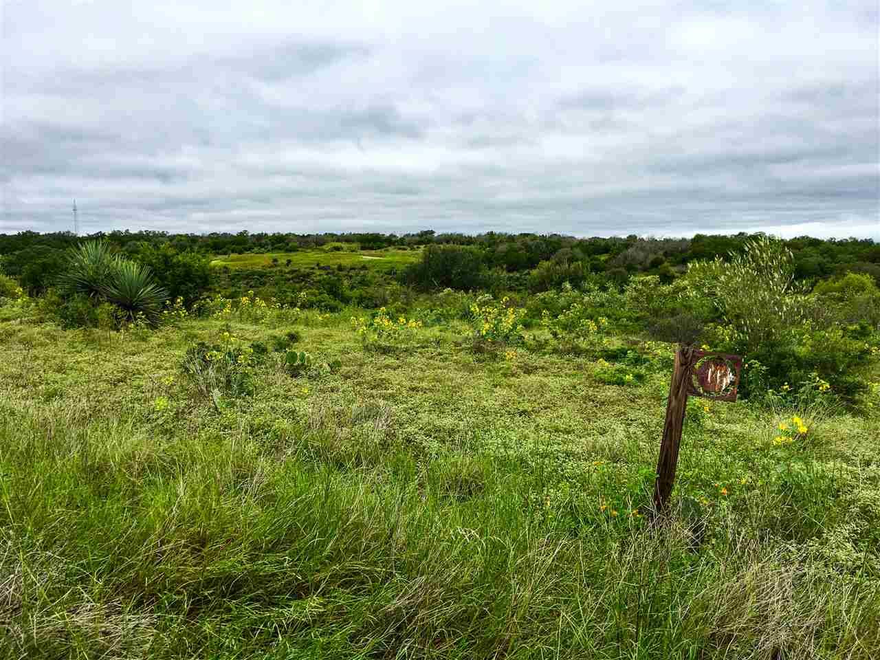 Horseshoe Bay, TX 78657,Lot #11 Blazing Star