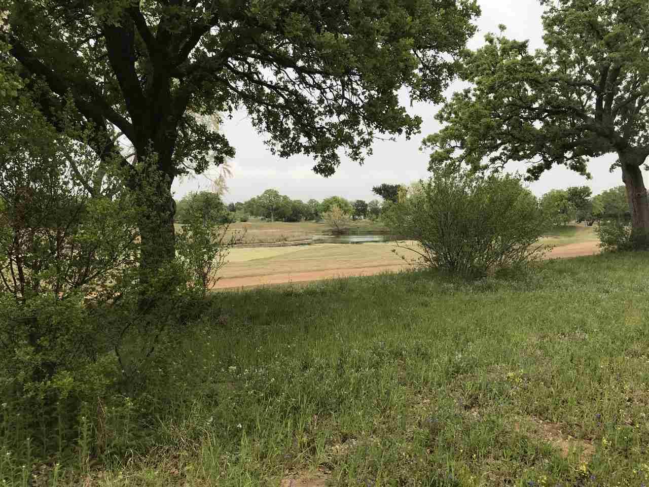 Kingsland, TX 78639,73 Lakewcliff DR