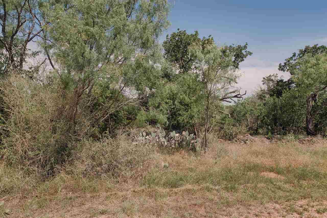 Granite Shoals, TX 78654,Lots 178 & 179 Rock Downs