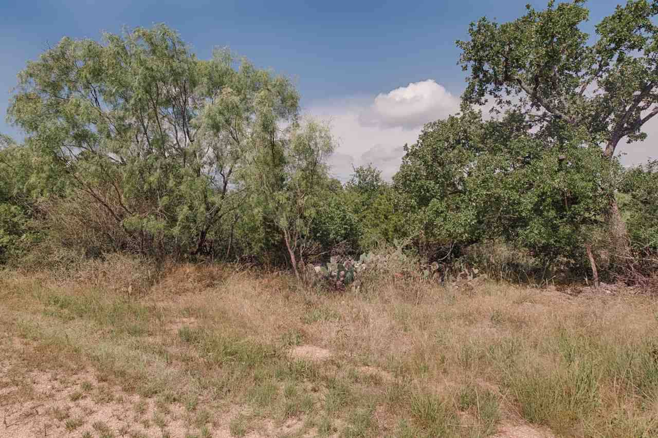 Granite Shoals, TX 78654,Lots 178 & 179 Rock Downs