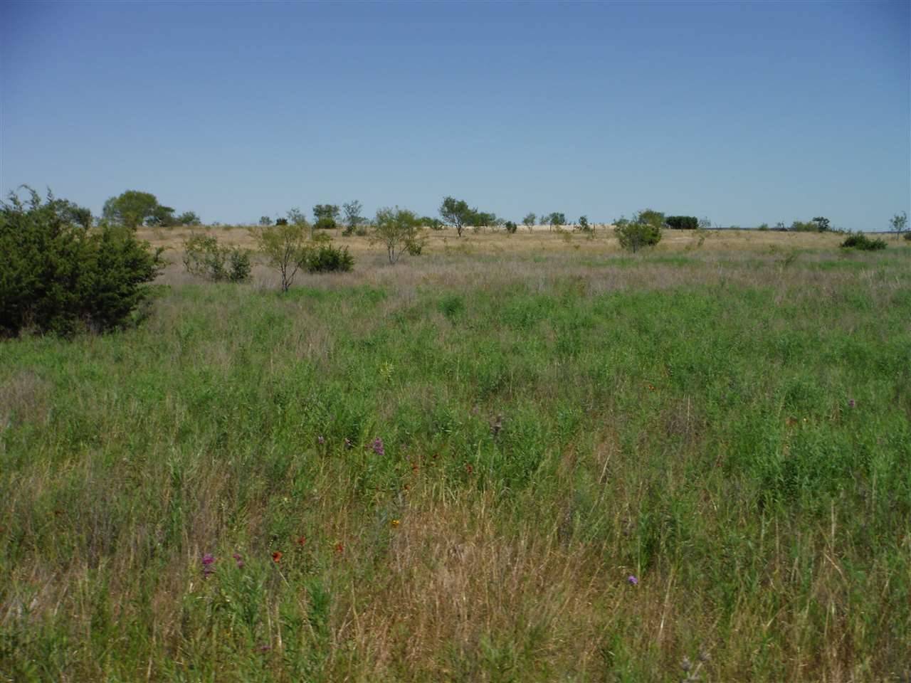 Out Of Area, TX 76522,Tract 7 Private Road 3642