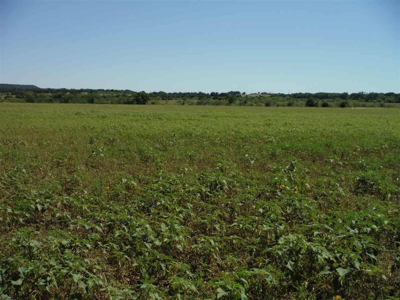 Out Of Area, TX 76522,Tract 7 Private Road 3642