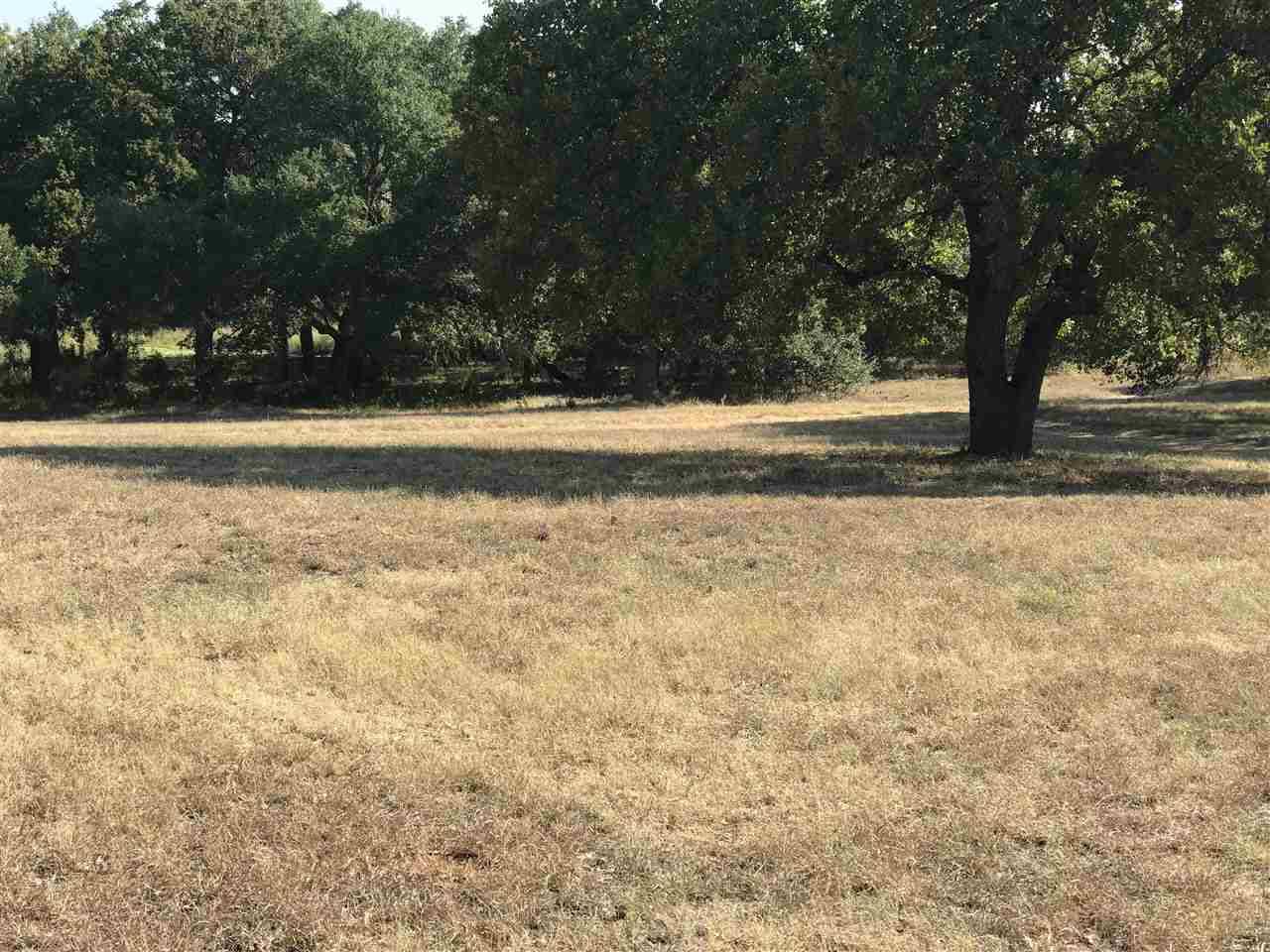 Horseshoe Bay, TX 78657,Mitchell Creek DR