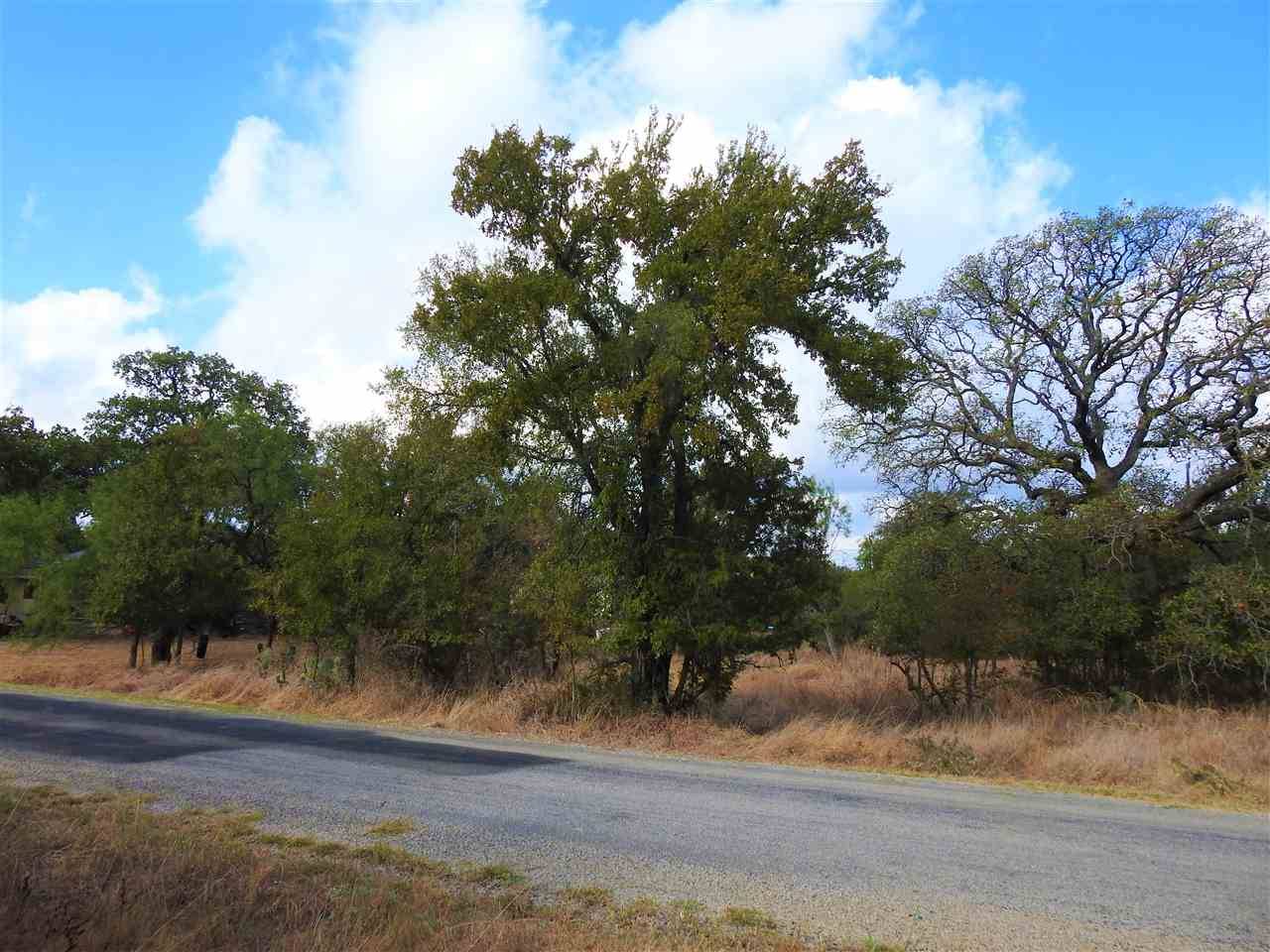 Kingsland, TX 78639,Cactus Trl Lot 247 TRL