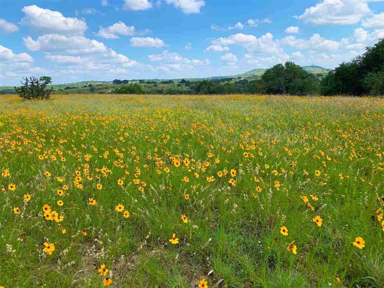 Johnson City, TX 78636-0000,2 CR208  (Odiorne Rd.)