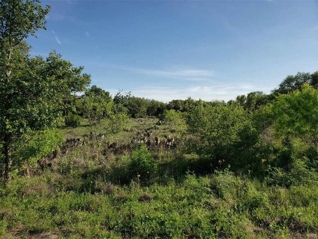 Spicewood, TX 78669,510 Vista View TRL