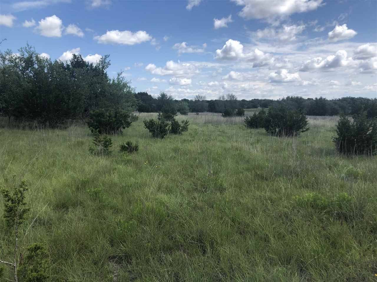 Briggs, TX 78608,Lot 11 CR 224