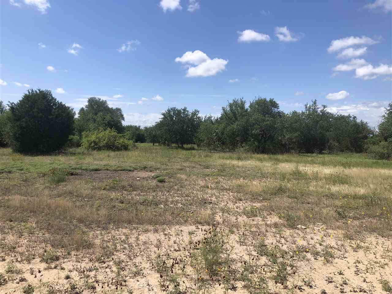 Briggs, TX 78608,Lot 4 CR 225