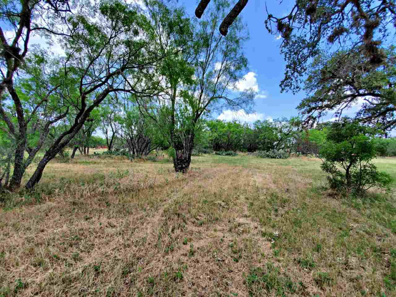 Granite Shoals, TX 78654,TBD Naumann DR