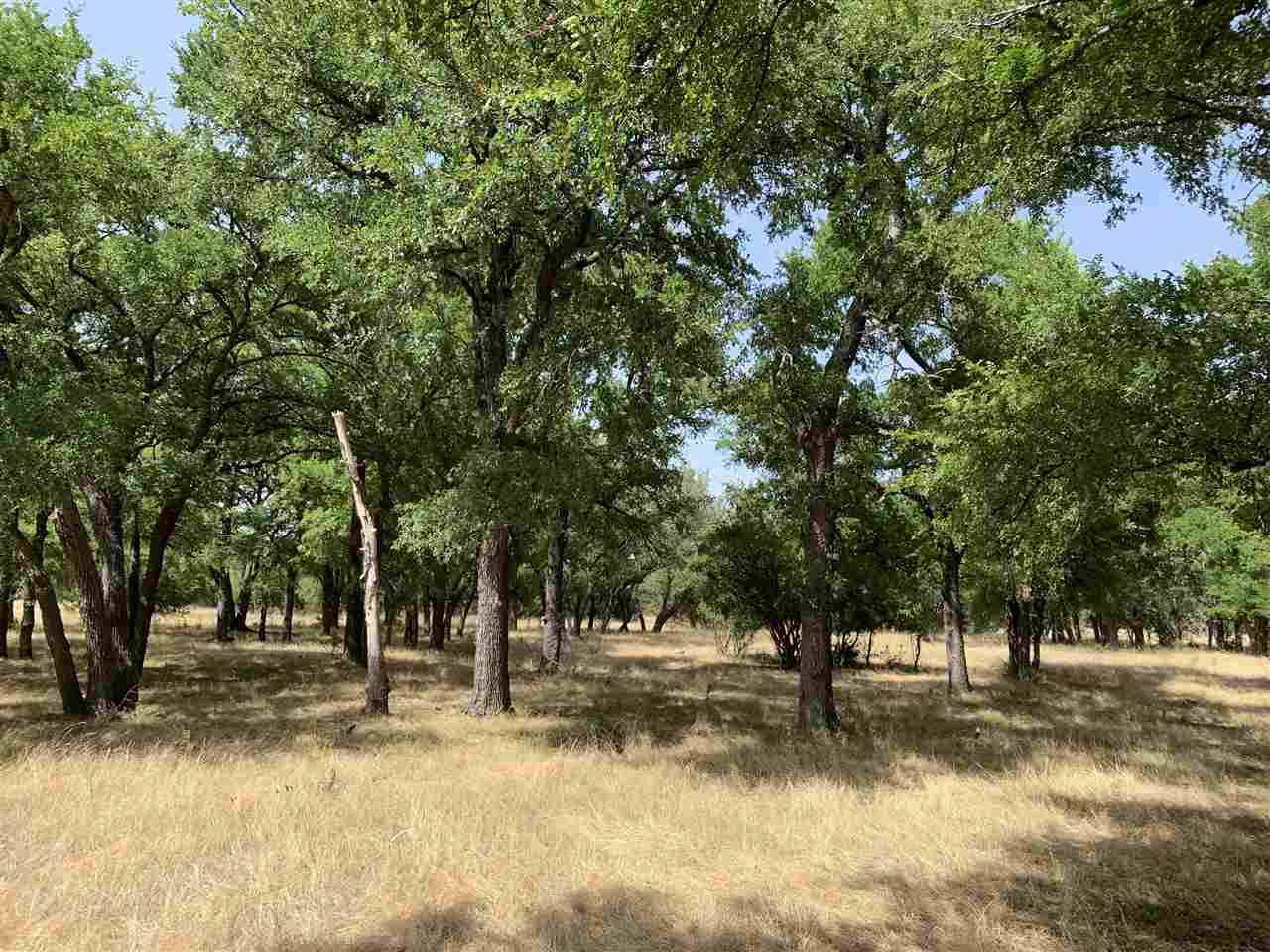 Briggs, TX 78608,1700 CR 219