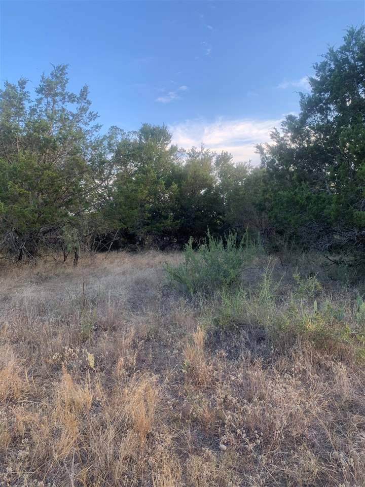 Kingsland, TX 78639,Lot 26 Link DR