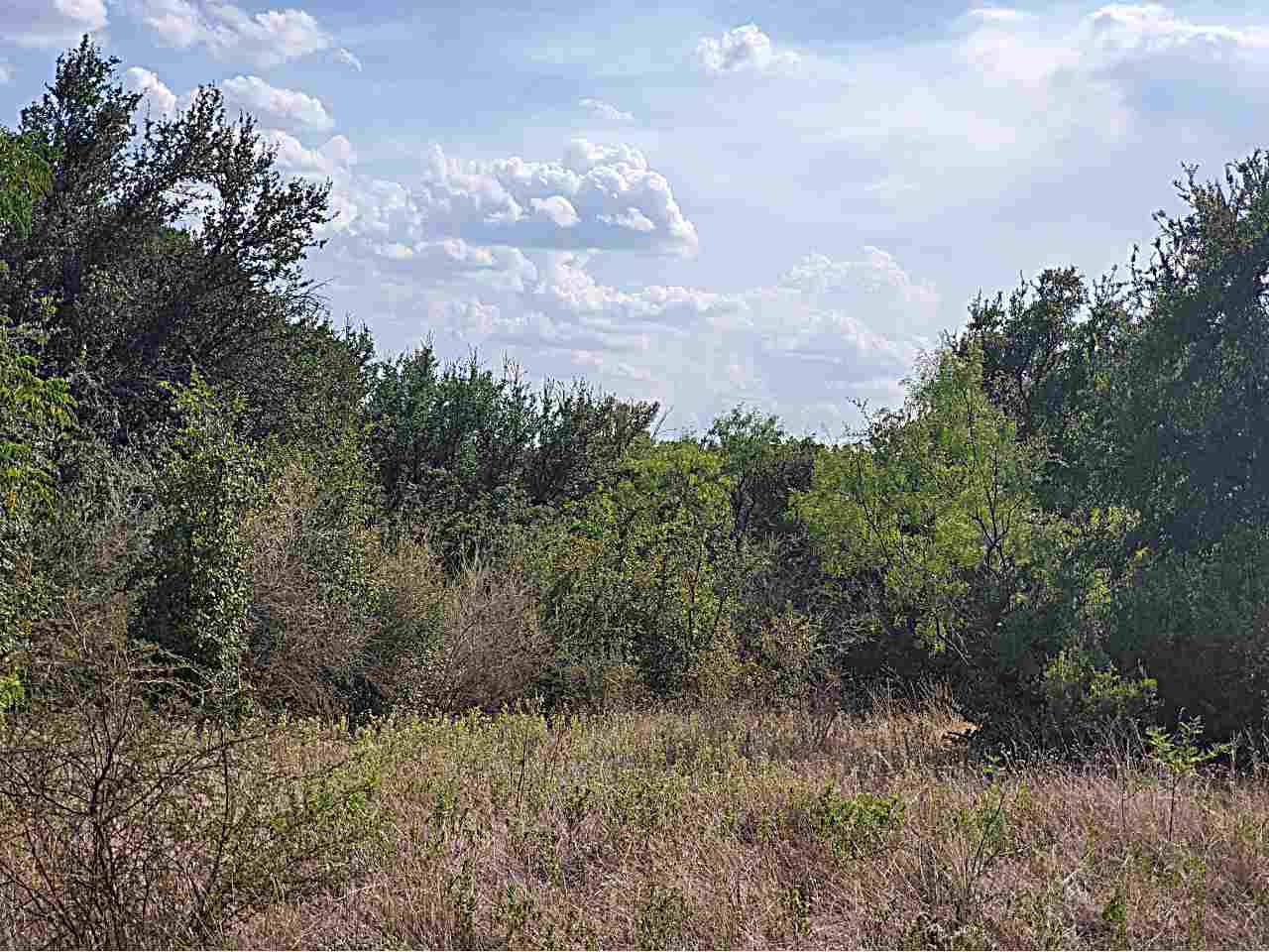 Kingsland, TX 78639,TBD Tract 3 Lehne LOOP