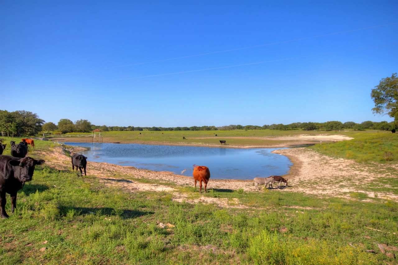 Liberty Hill, TX 78642,1580 CR 287